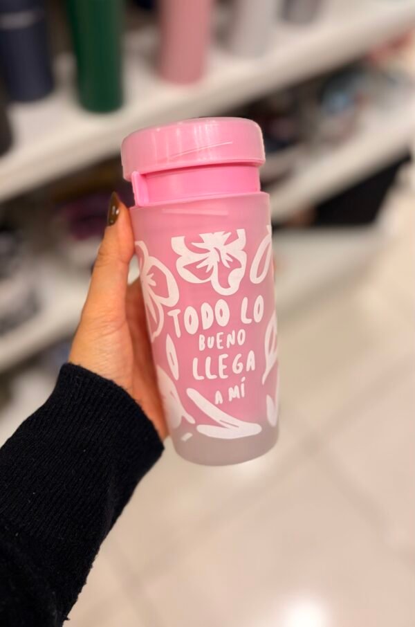 Despolvillador